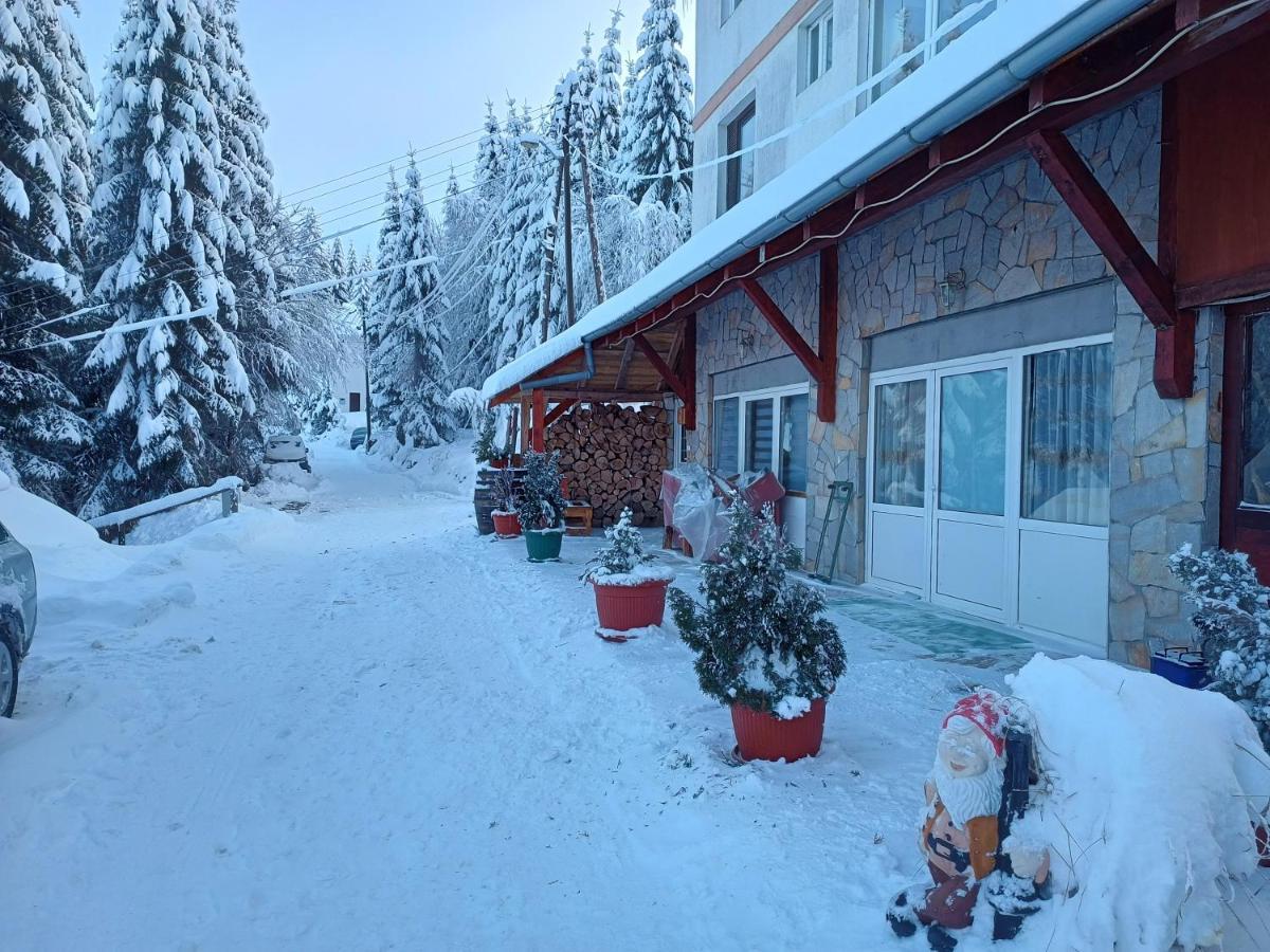 Kuca Za Odmor "Djurovic" Apartment Kopaonik Ngoại thất bức ảnh